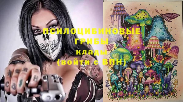 прущая мука Богородицк