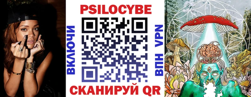 MEGA маркетплейс  закладки  Дзержинский  Псилоцибиновые грибы Psilocybe 